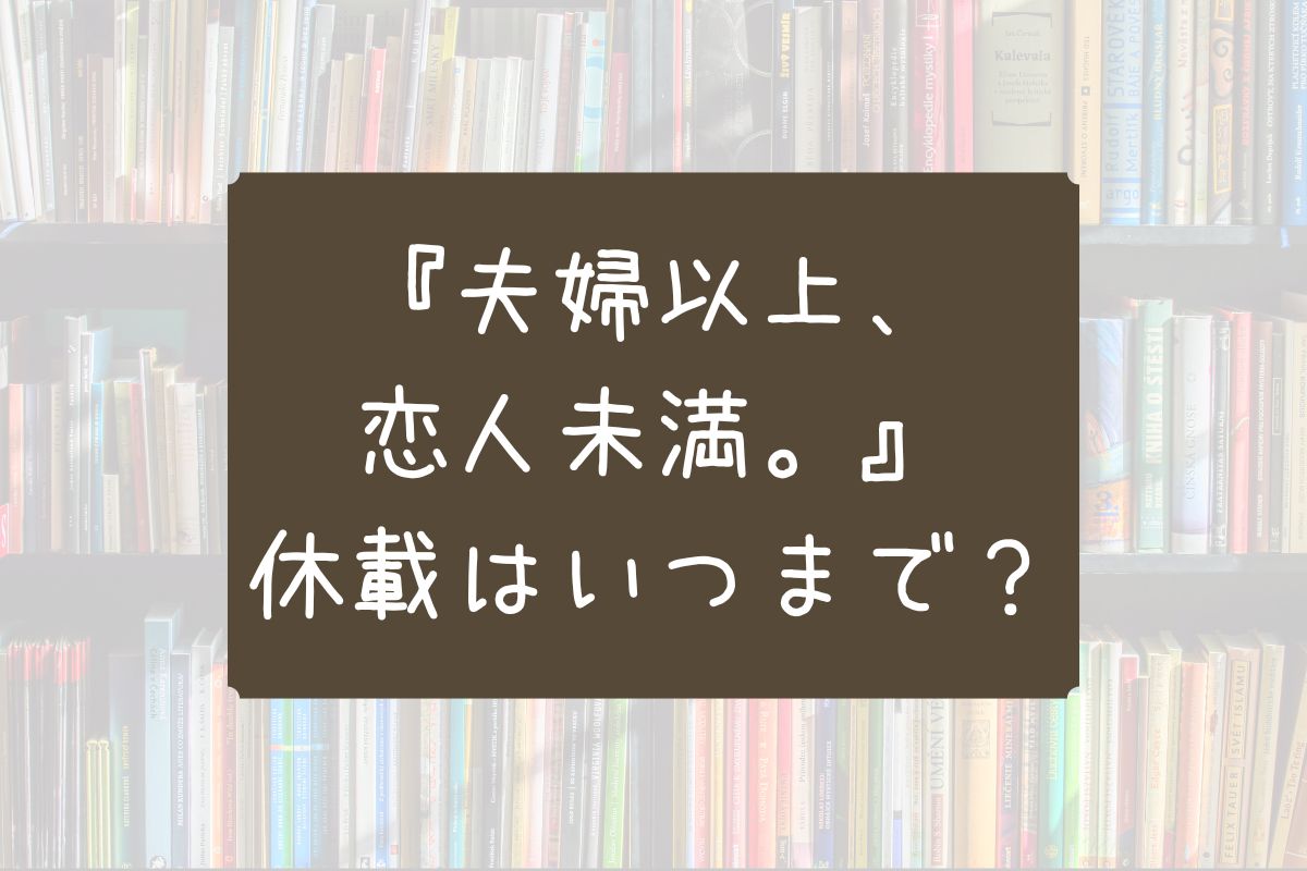 夫婦以上恋人未満 休載