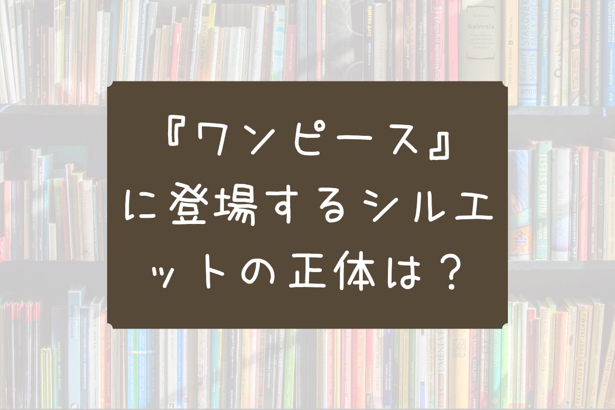 ワンピース シルエット 正体